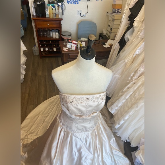 Jasmine Wedding Dress - Picture 7 of 12